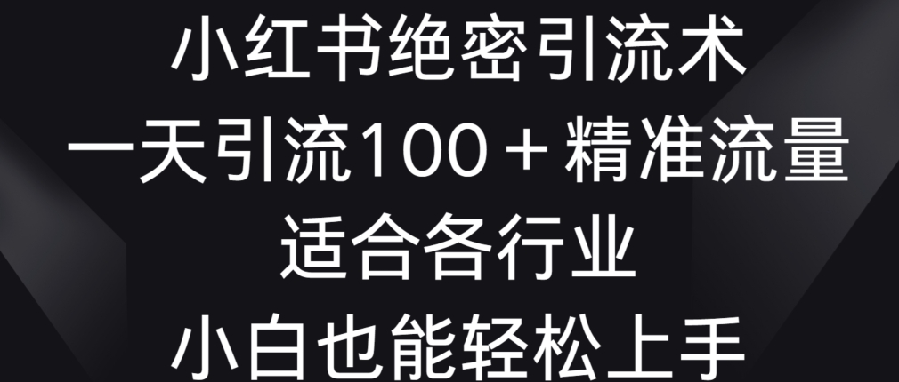 小红书绝密引流术，一天引流100+精准流量，适合各个行业，小白也能轻松上手【揭秘】-第二象限
