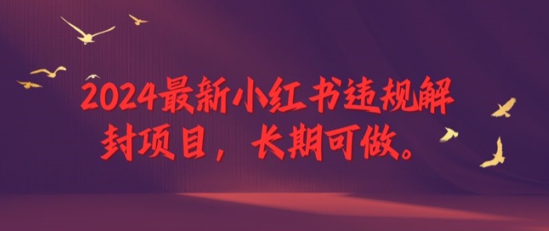 2024最新小红书违规解封项目，长期可做，一个可以做到退休的项目【揭秘】-第二象限
