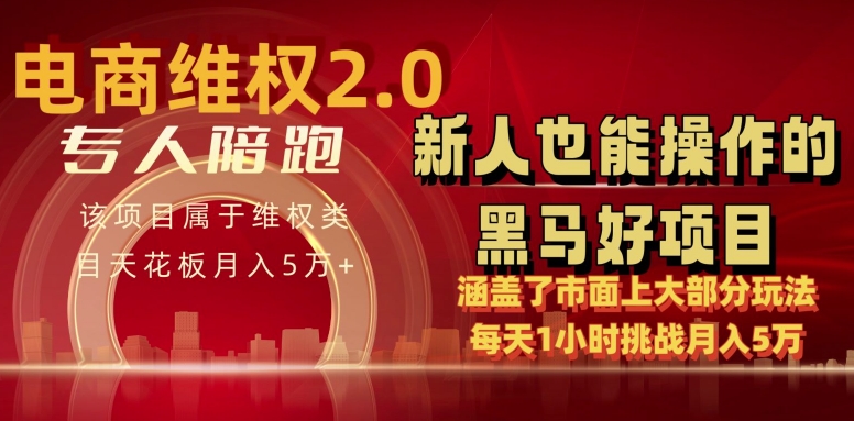 电商维权 4.0 如何做到月入 5 万+每天 1 小时新人也能快速上手【仅揭秘】-第二象限