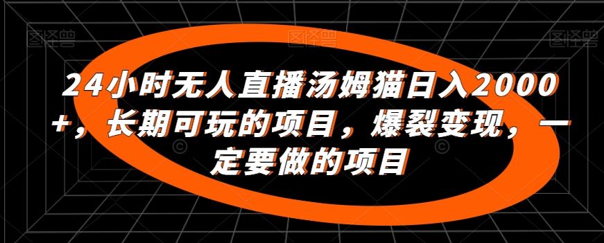 24小时无人直播汤姆猫日入2000+，长期可玩的项目，爆裂变现，一定要做的项目【揭秘】-第二象限