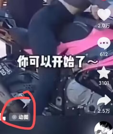 2024年7月苹果手机动图搬运技术-第二象限