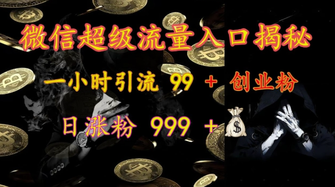 微信超级流量入口揭秘：一小时引流 99 + 创业粉，日涨粉 999 +-第二象限