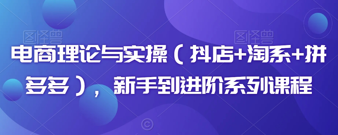 电商理论与实操（抖店+淘系+拼多多），新手到进阶系列课程-第二象限