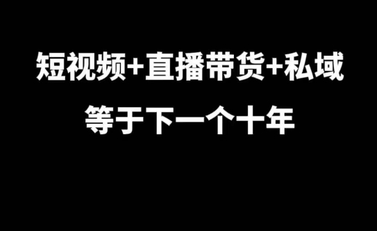 短视频+直播带货+私域等于下一个十年，大佬7年实战经验总结-第二象限