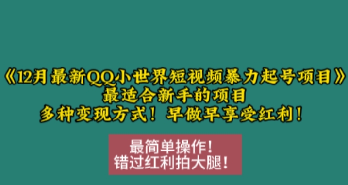 12月最新QQ小世界短视频暴力起号项目，最适合新手的项目，多种变现方式-第二象限