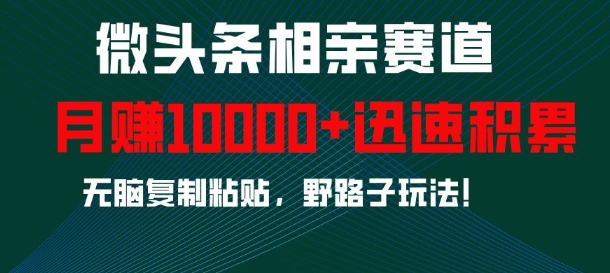 微头条相亲赛道，迅速积累，无脑复制粘贴，野路子玩法，月入1w-第二象限