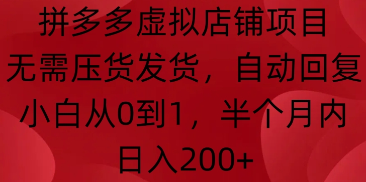 拼多多虚拟店铺项目，无需压货发货，自动回复，小白从0到1，半个月内日入200+【揭秘】-第二象限