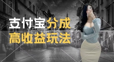 支付宝分成计划新玩法，利用交通事故视频，赚收益，轻松月入过W，操作简单【揭秘】-第二象限