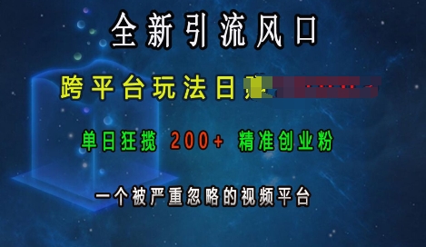 全新引流风口，跨平台玩法日入上k，单日狂揽200+精准创业粉，一个被严重忽略的视频平台-第二象限