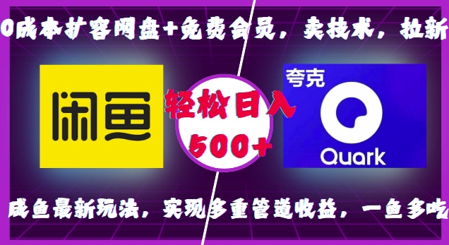 0成本扩容网盘+免费会员，卖技术，拉新，咸鱼最新玩法，实现多重管道收益，一鱼多吃，轻松日入500+-第二象限