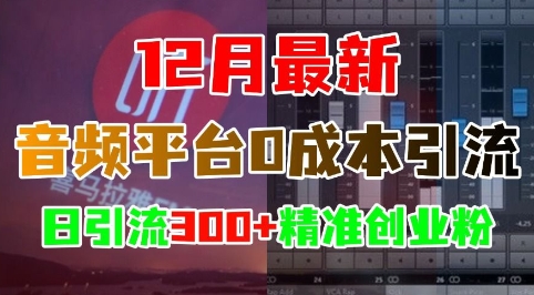 12月最新：音频平台0成本引流，日引流300+精准创业粉-第二象限