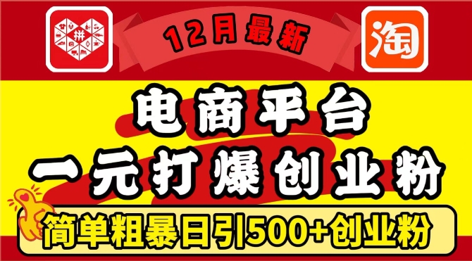 12月最新：电商平台1元打爆创业粉，简单粗暴日引500+精准创业粉，轻松月入过W【揭秘】-第二象限