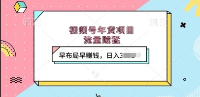 视频号年货项目，流量贼猛，早布局早挣钱，日入上k【揭秘】-第二象限