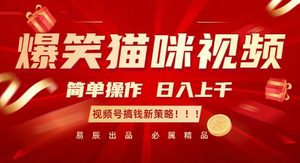 爆笑猫咪视频：简单操作，日入过K，视频号搞钱新策略【揭秘】-第二象限