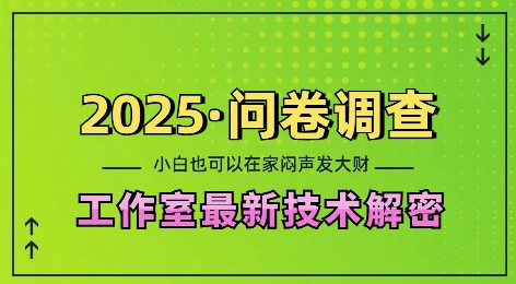 2025问卷调查最新工作室技术解密：一个人在家也可以闷声发大财，小白一天2张，可矩阵放大【揭秘】-第二象限