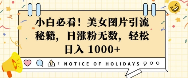 小白必看，美女图片引流秘籍，日涨粉无数，轻松日入几张【揭秘】-第二象限