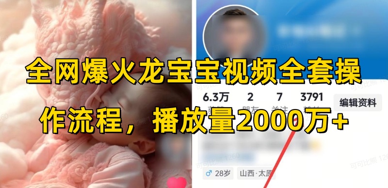 全网爆火龙宝宝视频全套操作流程，播放量2000万+-第二象限