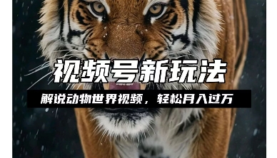 利用动物世界解说视频，赚分成计划收益，轻松月入过W，操作简单【揭秘】-第二象限
