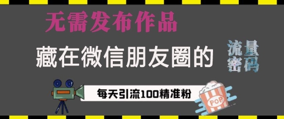 藏在微信朋友圈的流量密码，无需发布作品，单日引流100+精准创业粉【揭秘】-第二象限