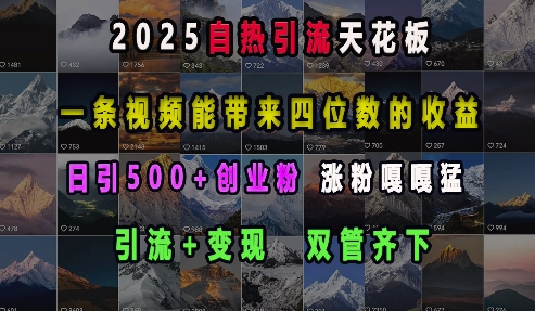 2025自热引流天花板，一条视频能带来四位数的收益，引流+变现双管齐下，日引500+创业粉，涨粉嘎嘎猛-第二象限