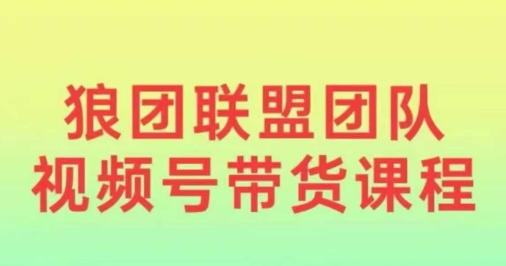 狼团联盟2024视频号带货，0基础小白快速入局视频号-第二象限