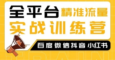 全平台精准流量实战训练营，百度微信抖音小红书SEO引流教程-第二象限