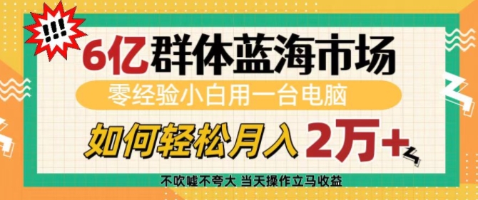 6亿群体蓝海市场，零经验小白用一台电脑，如何轻松月入过w【揭秘】-第二象限