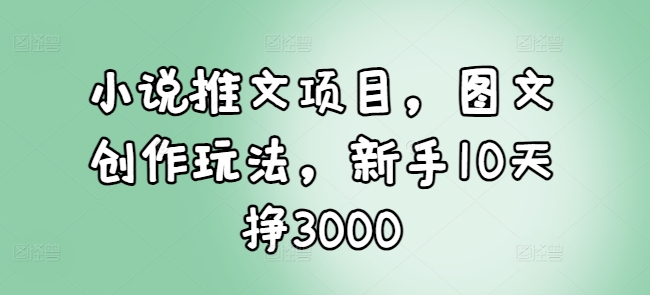 小说推文项目，图文创作玩法，新手10天挣3000-第二象限