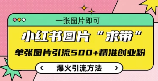 小红书图片‘求带’爆火引流法，单张图片引流500+精准创业粉【揭秘】-第二象限