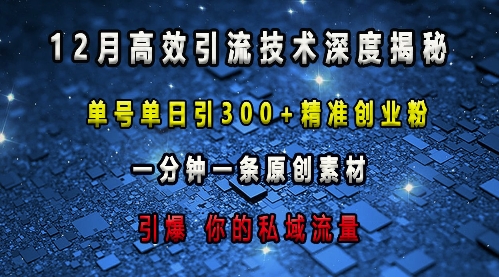 最新高效引流技术深度揭秘 ，单号单日引300+精准创业粉，一分钟一条原创素材，引爆你的私域流量-第二象限