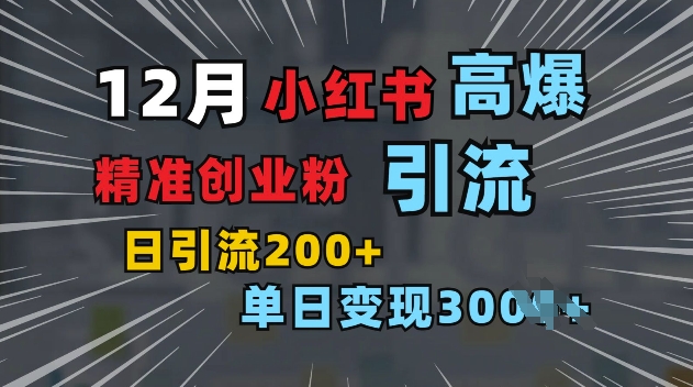 小红书一张图片“引爆”创业粉，单日+200+精准创业粉 可筛选付费意识创业粉【揭秘】-第二象限