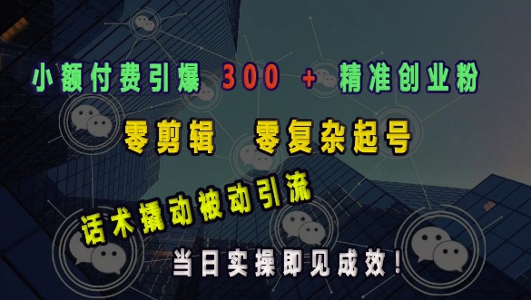 小额付费引爆 300 + 精准创业粉，零剪辑、零复杂起号，话术撬动被动引流，当日实操即见成效-第二象限