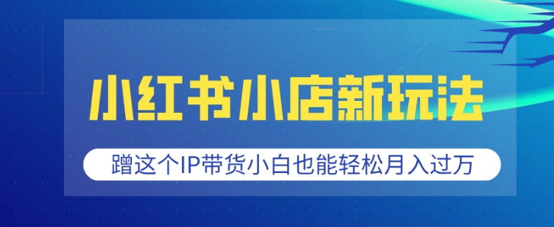 小红书小店新玩法，蹭这个IP带货，小白也能轻松月入过W【揭秘】-第二象限