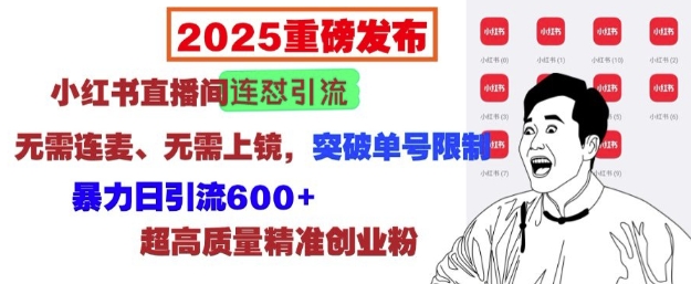 2025重磅发布：小红书直播间连怼引流，无需连麦、无需上镜，突破单号限制，暴力日引流600+-第二象限
