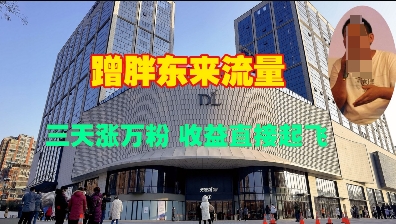 蹭胖东来流量，三天涨万粉，收益直接起飞-第二象限