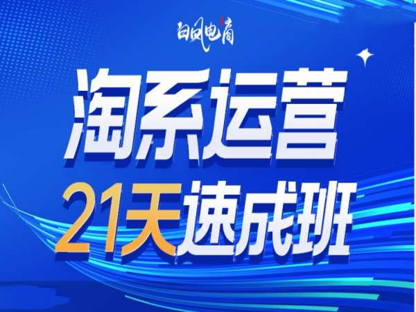 淘系运营21天速成班35期，年前最后一波和2025方向-第二象限