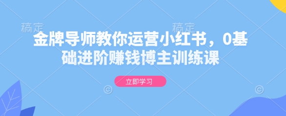 金牌导师教你运营小红书，0基础进阶赚钱博主训练课-第二象限