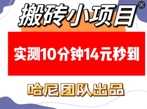 搬砖小项目，实测10分钟14元秒到，每天稳定几张(赠送必看稳定)-第二象限