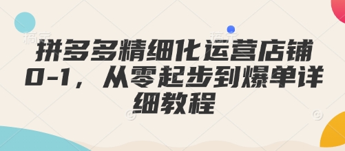 拼多多精细化运营店铺0-1，从零起步到爆单详细教程-第二象限