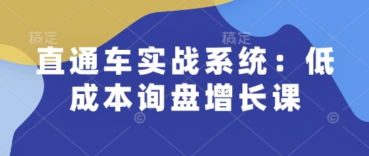 直通车实战系统：低成本询盘增长课，让个人通过技能实现升职加薪，让企业低成本获客，订单源源不断-第二象限