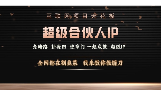 互联网项目天花板，超级合伙人IP，全网都在割韭菜，我来教你做镰刀【仅揭秘】-第二象限