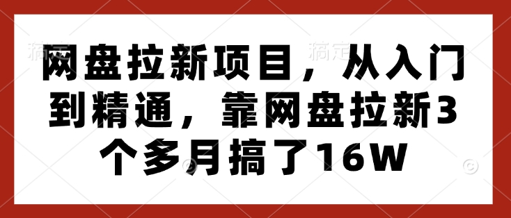 网盘拉新项目，从入门到精通，靠网盘拉新3个多月搞了16W-第二象限