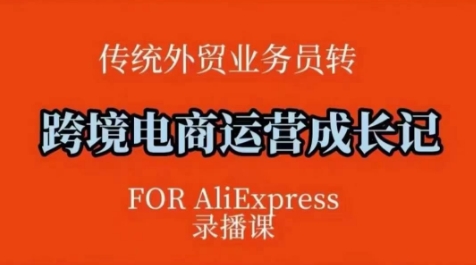 跨境电商速卖通运营课，​运营方法论+后台实操，逻辑清晰-第二象限