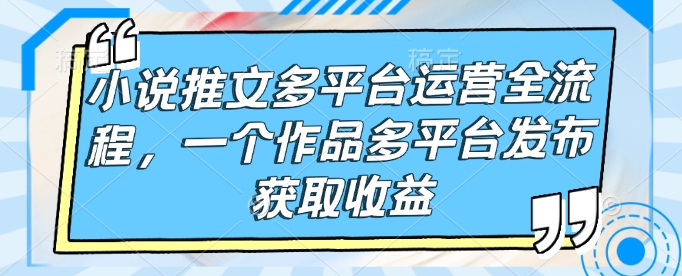 小说推文多平台运营全流程，一个作品多平台发布获取收益-第二象限