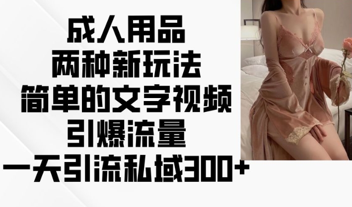 成人用品两种新玩法，简单的文字视频引爆流量，一天引流私域300+-第二象限