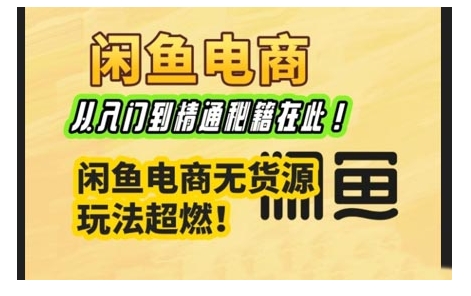 闲鱼电商实战课，从入门到精通秘籍在此，闲鱼电商无货源玩法超燃!-第二象限