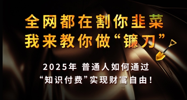 全网都在割你韭菜，我来教你做镰刀，2025年普通人如何通过 知识付费 实现财F自由【揭秘】-第二象限