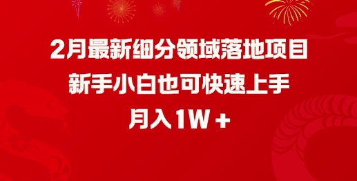 2月最新细分领域落地项目，新手小白也可快速上手，月入1W-第二象限