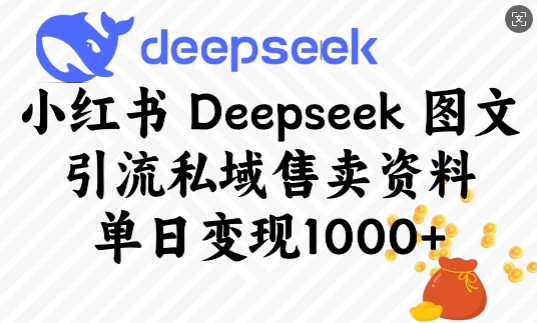 小红书Deepseek图文引流私域售卖资料，单日变现多张-第二象限