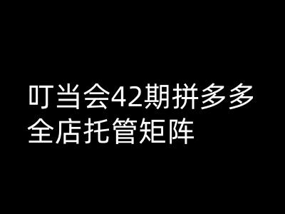 叮当会拼多多打爆班原创高阶技术第42期，拼多多全店托管矩阵-第二象限